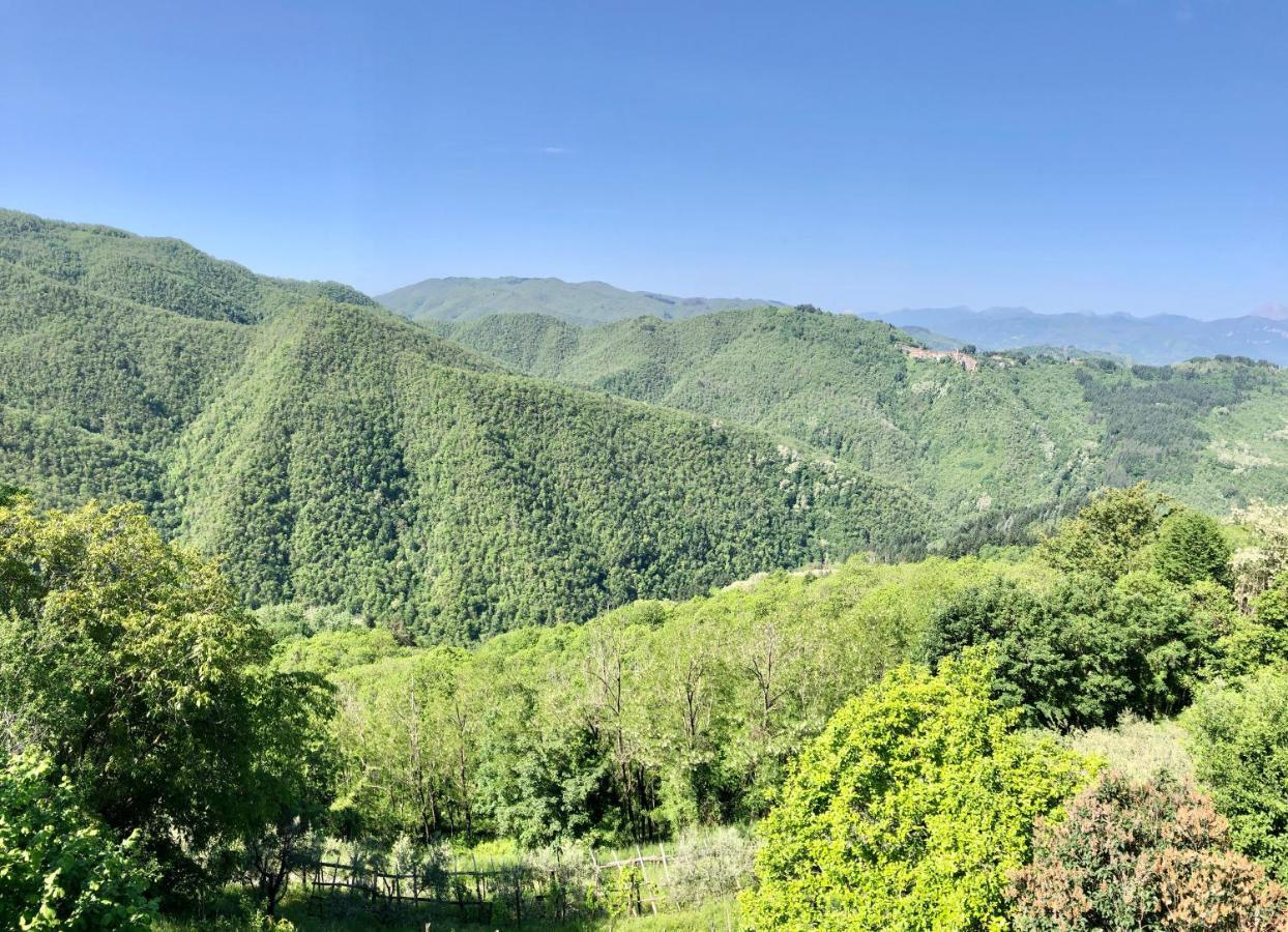 Home Holidays Crasciana, Con Terrazza Vista Sulle Alpi Apuane. Exterior foto